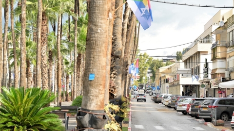 הדגל הדרוזי בשילוב דגל ישראל נתלו לאורך השדרה (1).JPG