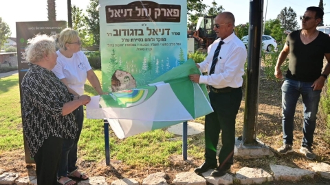 נחל דניאל .jpg